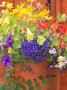 hanging basket * 1524 x 2032 * (557KB)
